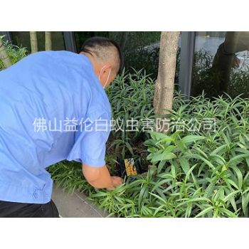 大沥园林灭治白蚁工程